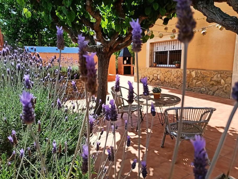 Mas Del Vent- Barbacoa, Jardin, Piscina Privada Y Vistas A Mar Villa Cunit Exterior foto